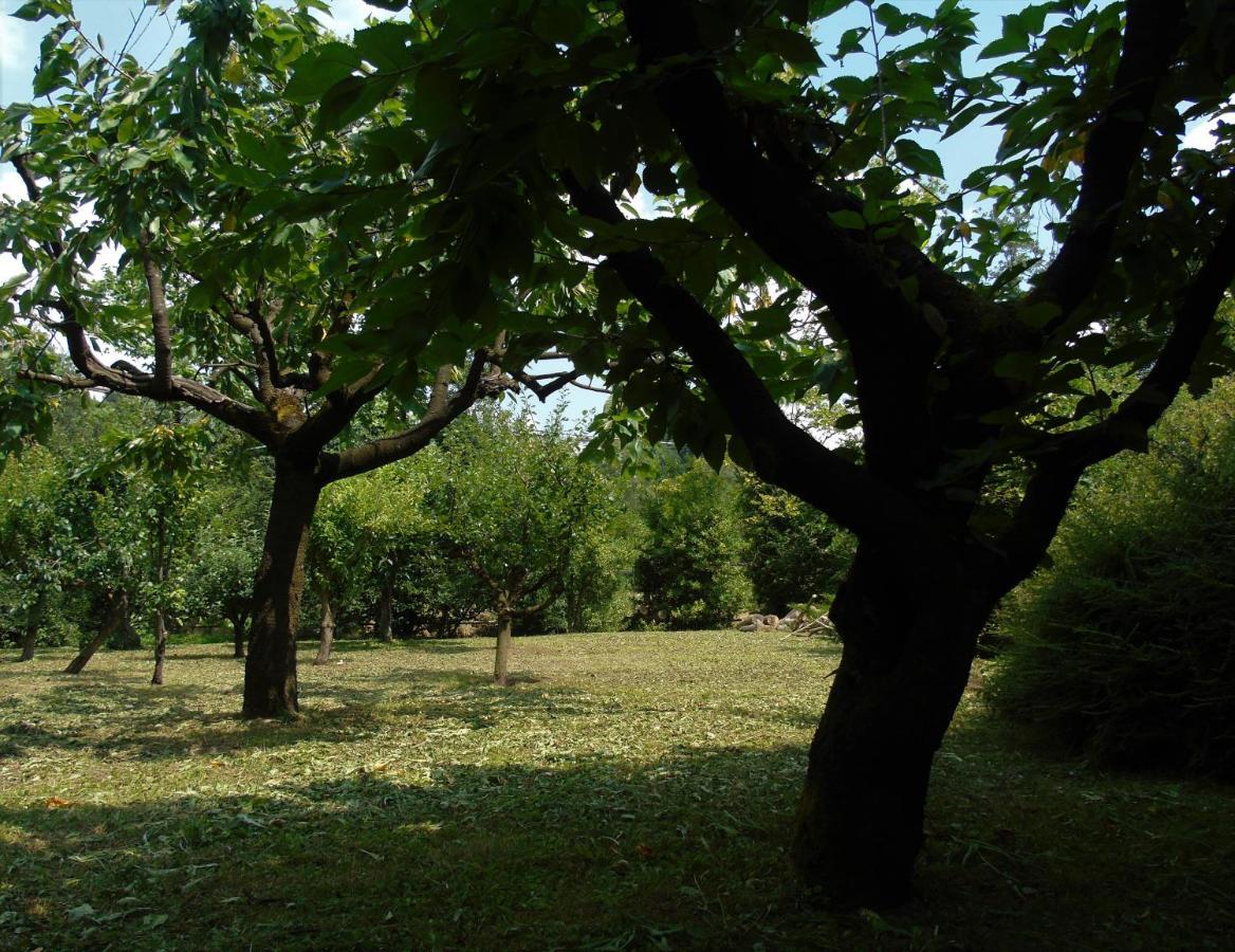 贝尔加莫Cascina Cavalli Astino别墅 外观 照片