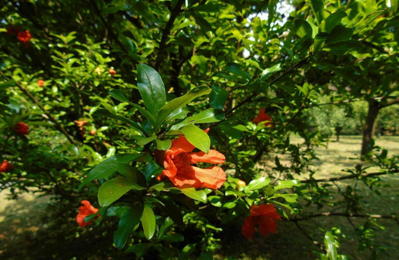 贝尔加莫Cascina Cavalli Astino别墅 外观 照片