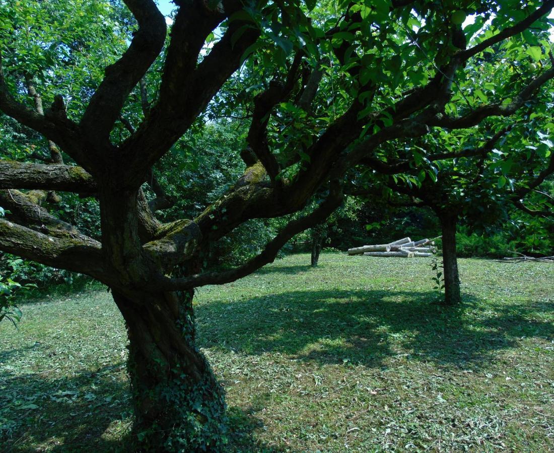 贝尔加莫Cascina Cavalli Astino别墅 外观 照片